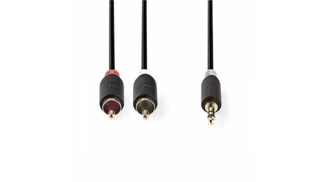 Nedis CABW22200AT05 Stereo Audiokabel 3,5 Mm Male - 2x Rca Male 0,5 M Antraciet